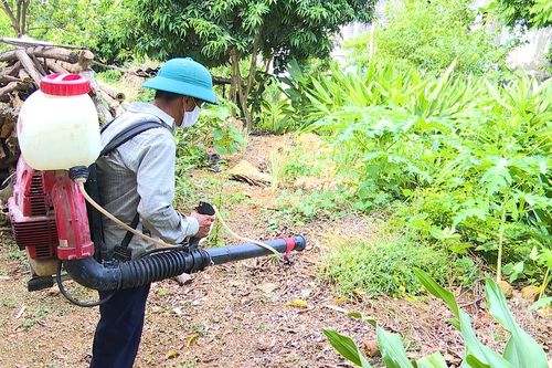 Phun hóa chất diệt muỗi chủ động phòng, chống sốt xuất huyết