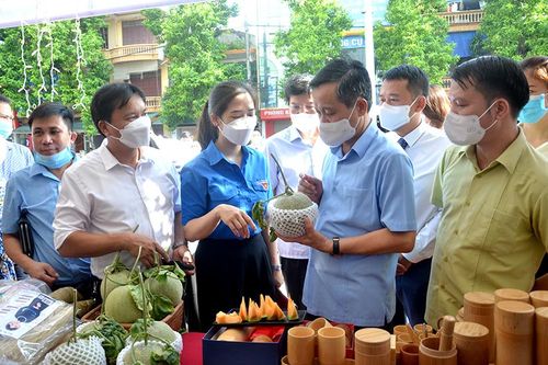 Phát động hưởng ứng phong trào 'Người Tuyên Quang ưu tiên dùng nông sản Tuyên Quang'