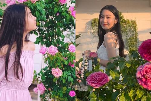Quyền Linh trồng hoa hồng cho con gái 'sống ảo', ảnh nào cũng đẹp như hoa hậu