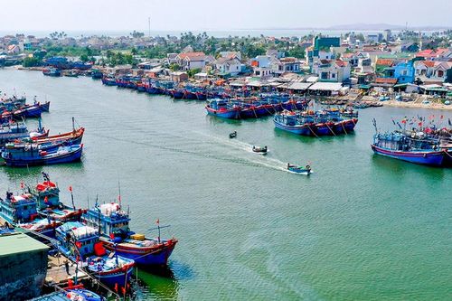 Ngư dân Quảng Ngãi ra khơi trước 15/9 được cập cảng bán thủy sản