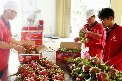 Tiếp sức cho doanh nghiệp nông nghiệp