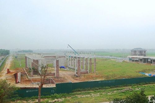Dự án 670 tỉ đồng 'đắp chiếu', thành bãi chăn bò
