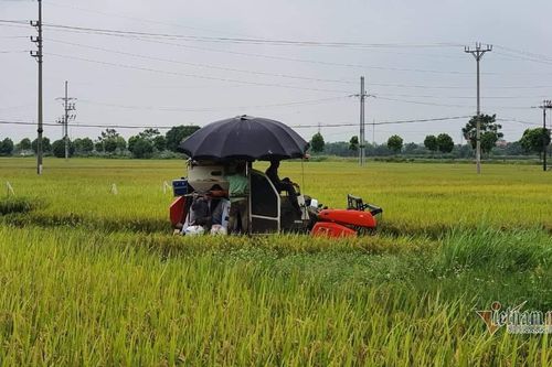 Huyện duy nhất không có F0 ở Thủ đô gỡ chốt kiểm soát dịch Covid-19