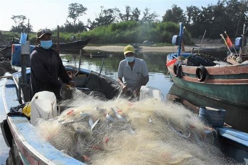 Bà Rịa-Vũng Tàu: Tàu đánh bắt hải sản ở 'vùng xanh' được ra khơi