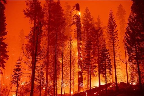 Cháy rừng lan rộng tại bang California (Mỹ)