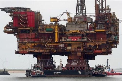Shell có kế hoạch sản xuất nhiên liệu máy bay carbon thấp trên quy mô lớn