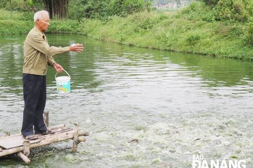 Tỏa sáng phẩm chất giữa đời thường