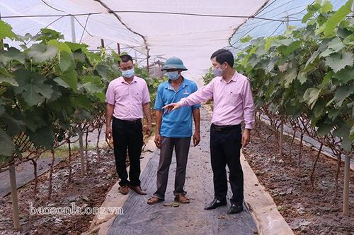 Hiệu quả nguồn vốn vay giải quyết việc làm