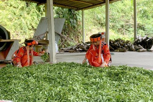 Trên 1.400 tỷ đồng đầu tư phát triển vùng đồng bào dân tộc thiểu số và miền núi