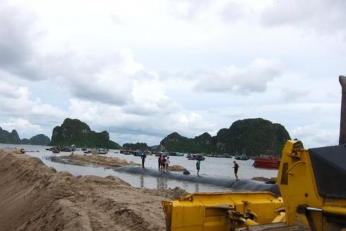 Truy tố giám đốc Công ty TNHH Thành Trung HD mua bán hóa đơn trái phép