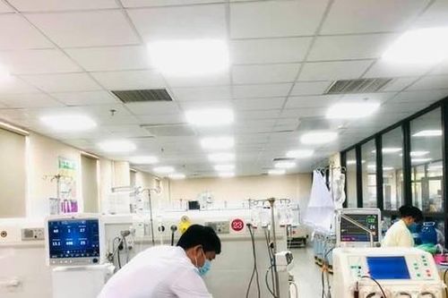 Hòa Bình: Ghi nhận ca nguy kịch và tử vong vì căn bệnh 'sốt độc' cực khó phát hiện ra