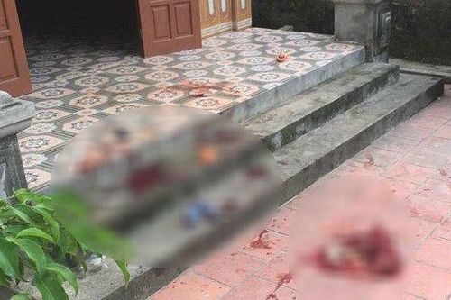 Cụ ông 71 tuổi đâm con trai tử vong rồi đến công an đầu thú