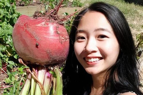 Vợ chồng Việt ở Úc trồng toàn cây trái khổng lồ trên mảnh đất khô cằn