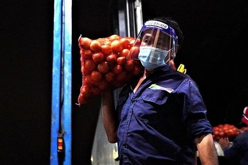 TP.HCM mở lại 3 chợ đầu mối lớn, hàng nghìn tấn nông sản đổ về