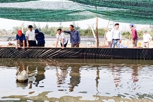 Hỗ trợ người dân ứng dụng khoa học công nghệ trong nông nghiệp