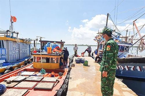Huyện Gio Linh chủ động phòng, chống dịch bệnh