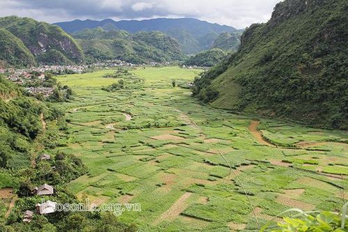 Chăn nuôi đại gia súc - thúc đẩy tăng trưởng xanh: Kỳ I: Thay đổi tư duy để phát triển