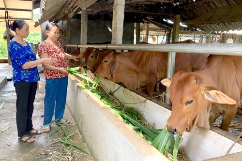 Nâng cao chất lượng sống người cao tuổi