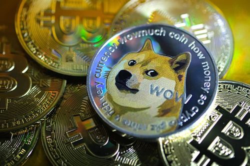 Triệu phú Dogecoin mất 500.000 USD khi thị trường lao dốc