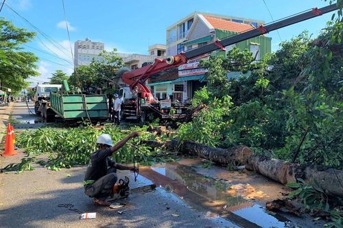 Cây đa hơn 200 năm tuổi bị bật gốc, đè chết một người