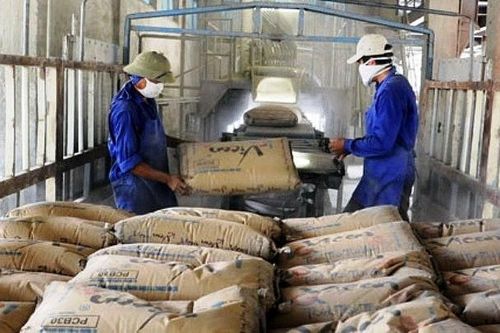 Thị trường xi măng: Kỳ vọng gì những tháng cuối năm?