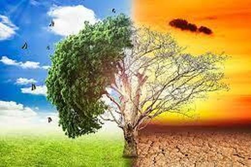 Biến đổi khí hậu có khiến loài người tuyệt chủng?