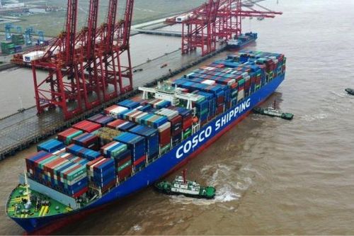 Kiểm tra các loại giá dịch vụ tại cảng biển và giá cước vận tải biển