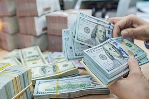 Phó Tổng Giám đốc lĩnh 8 năm tù vì lừa đảo