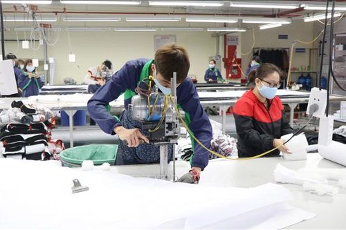 Hài hòa chính sách để đảm bảo mở cửa nền kinh tế và phòng dịch