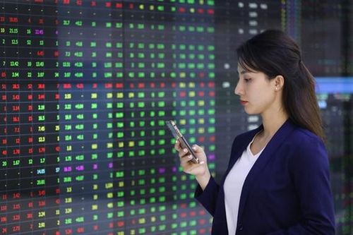 VN Index đảo chiều sau 2 phiên giảm vì 'bom nợ' Evergrande
