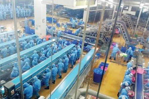 Kinh tế Nông nghiệp - Nông thôn Vươn tầm ngư nghiệp - Kỳ 1: Nghịch lý