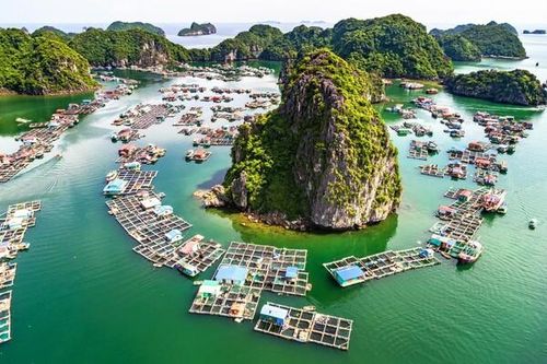Ngỡ ngàng vẻ đẹp vịnh Lan Hạ - Viên ngọc bị 'lãng quên' ở Việt Nam