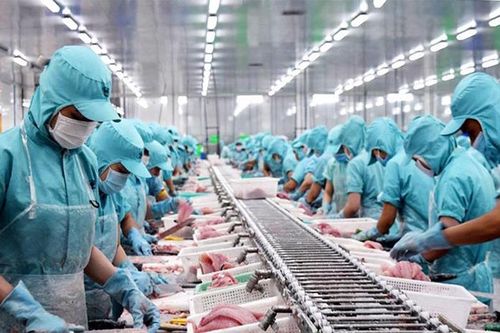 Hàng Việt ào ào vào thị trường Bỉ nhờ EVFTA