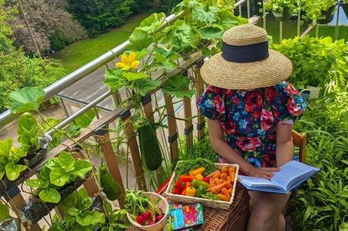 Ban công ngập rau củ quả xanh mướt mắt trong không gian 2,5m² 'đứng còn phải nhường nhau' của mẹ Việt