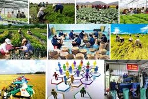 Diễn đàn Kinh tế hợp tác, hợp tác xã năm 2021 dự kiến diễn ra trong tháng 12/2021