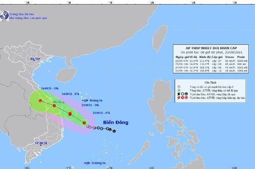 Chủ động ứng phó với áp thấp nhiệt đới có khả năng mạnh lên thành bão