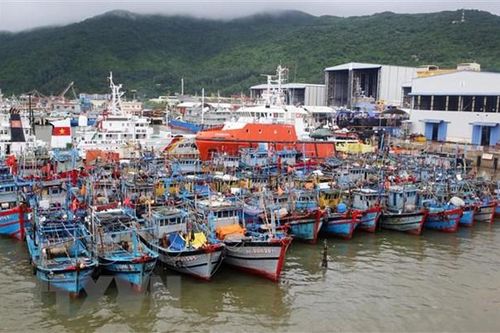 Bão số 6 di chuyển theo hướng Tây Tây Bắc với tốc độ 20km mỗi giờ