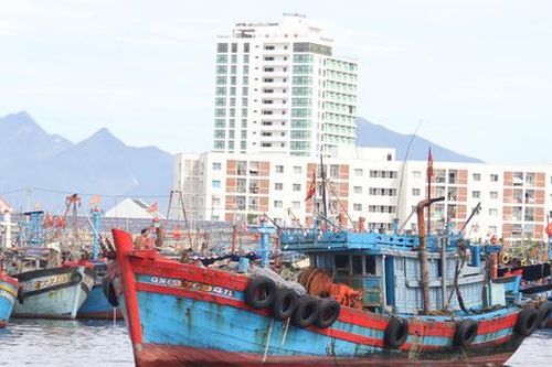 Quảng Nam cấm tàu, thuyền ra khơi, sẵn sàng phương án di dời dân