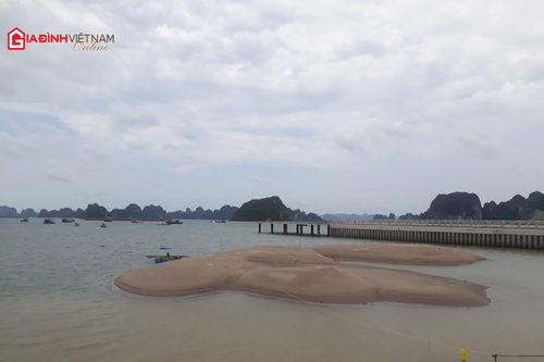 Truy tố đối tượng về tội mua bán trái phép hóa đơn tại Quảng Ninh
