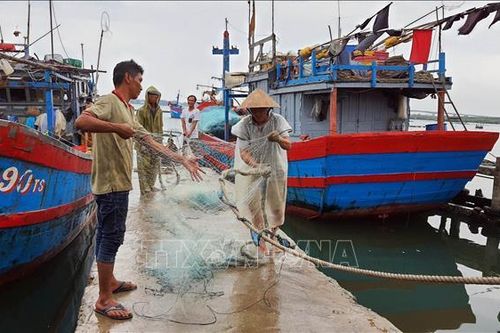 Quảng Nam: Nghiêm cấm tàu thuyền ra khơi từ 10 giờ ngày 23/9