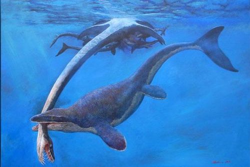 'Quái vật miệng dài' từng cai trị đại dương cổ đại
