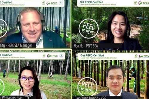 22 nhà máy chế biến mủ cao su của Việt Nam đã được cấp chứng chỉ quốc tế