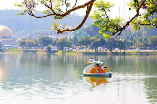 Triển khai các chính sách kích cầu, phục hồi hoạt động du lịch, lữ hành