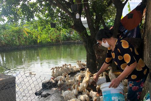 Nông dân linh hoạt để tiêu thụ nông sản
