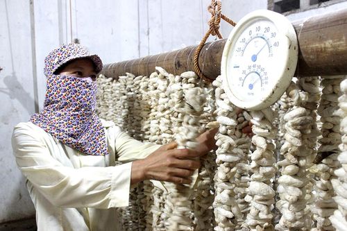 Đào tạo nghề và giải quyết việc làm tại Đồng Lương