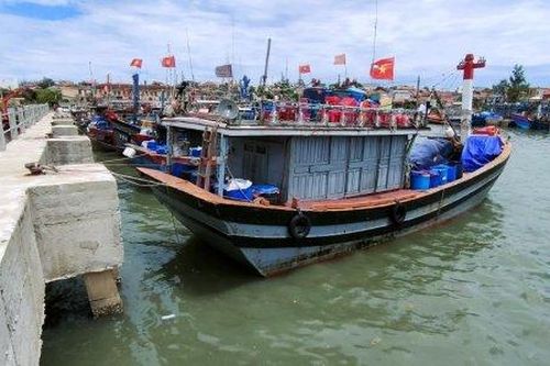 Kinh tế Kinh tế Hơn 2.052 phương tiện vào bờ tránh trú an toàn