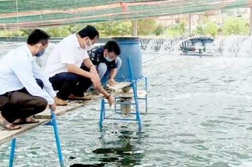 Kinh tế Nông nghiệp - Nông thôn Vươn tầm ngư nghiệp - kỳ 2: Ngư dân phải là chủ thể