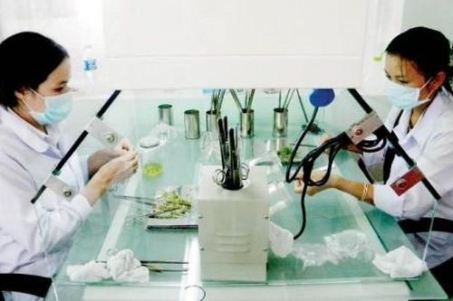 Chính trị - Xã hội Chính trị - Xã hội Giải quyết việc làm không chỉ ngang tay nghề phổ thông