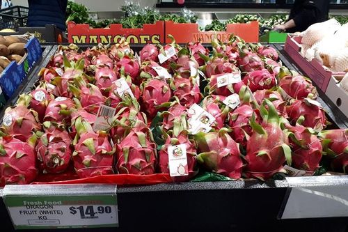 Thanh long Việt Nam được khách hàng Australia đánh giá cao