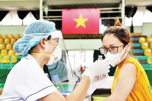 Tổ chức thực hiện bài bản hơn, quyết liệt hơn!